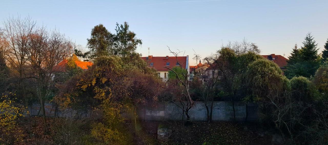 Apartament Styczynskiego グリヴィツェ エクステリア 写真
